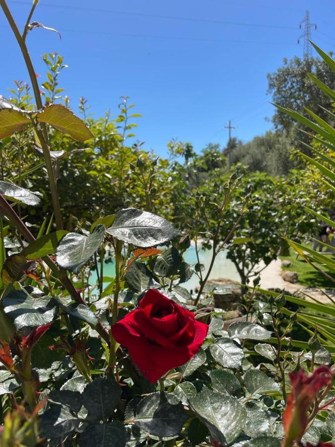 Casa vacanze Il Primo Fiore Noto Esterno foto